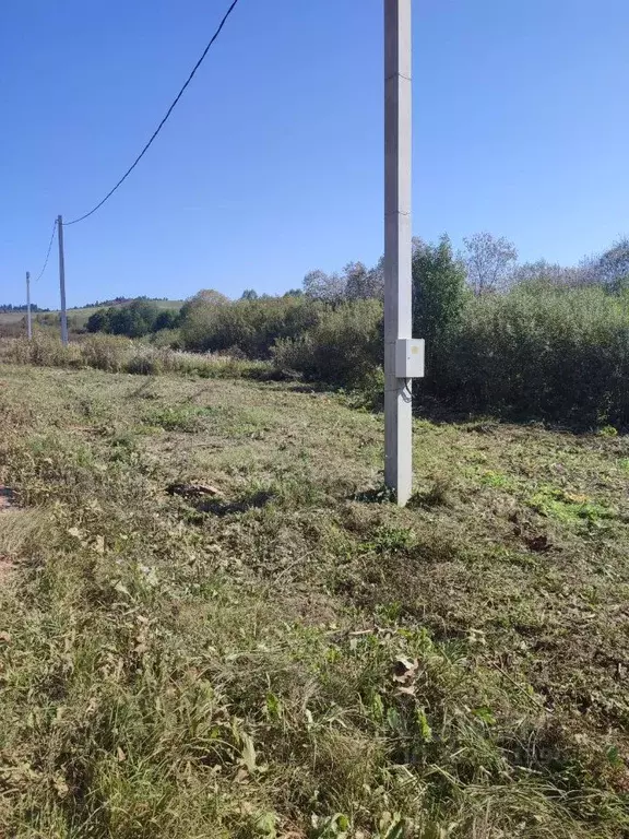 Участок в Пермский край, Чернушинский городской округ, д. Зверево ул. ... - Фото 0