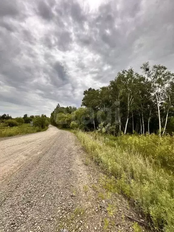 Участок в Амурская область, Благовещенский район, с. Новопетровка  ... - Фото 1