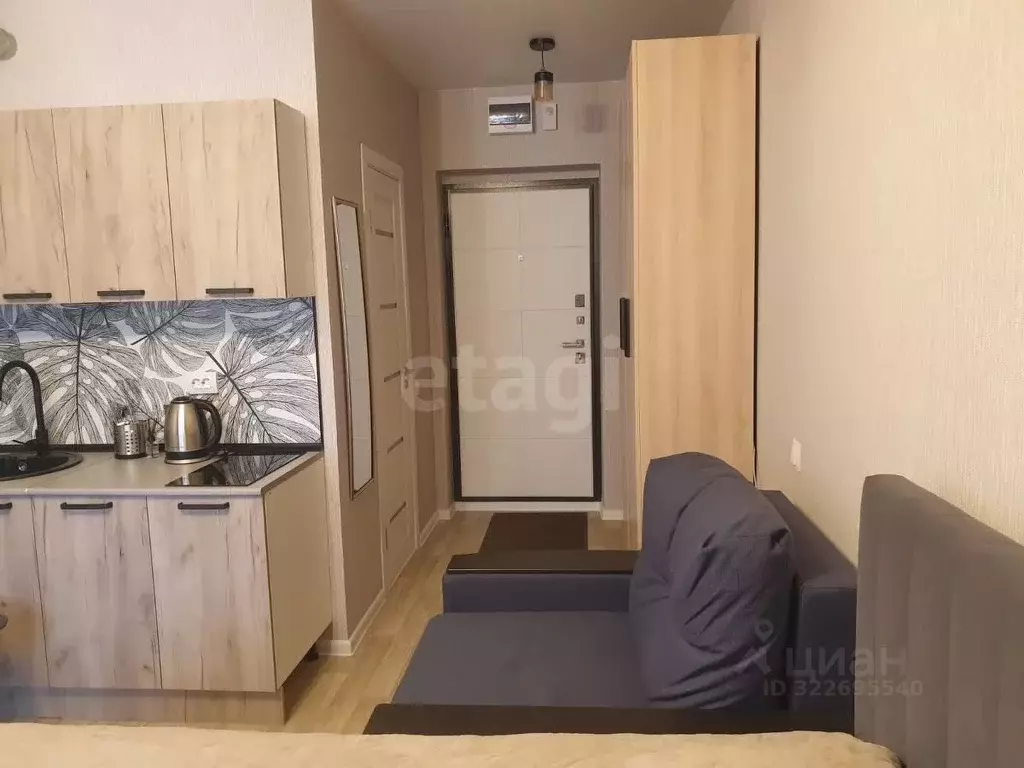 Студия Новосибирская область, Новосибирский район, Станционный ... - Фото 2