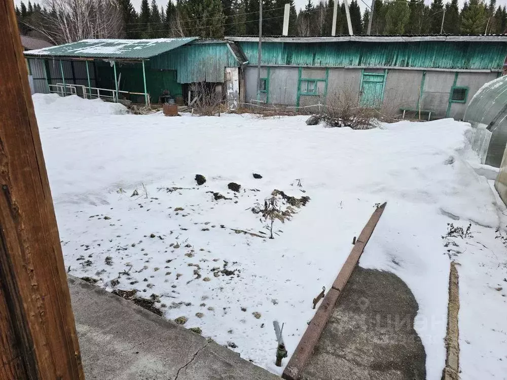 Дом в Кемеровская область, Анжеро-Судженск Кедр СНТ,  (52 м) - Фото 2