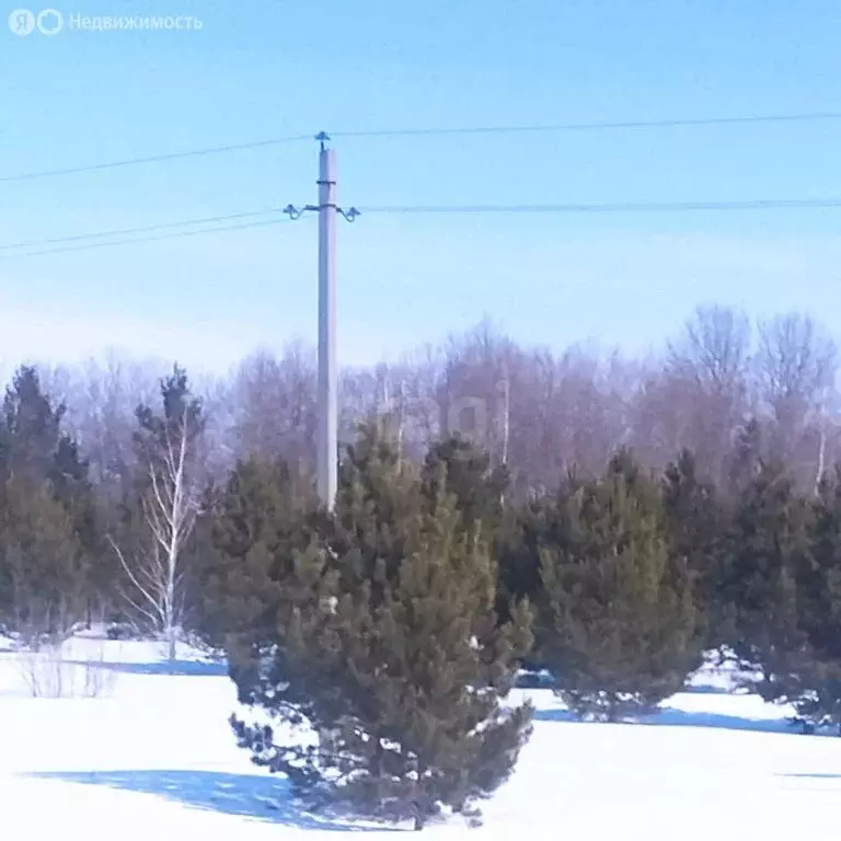 Участок в Тюменская область, Ишимский муниципальный округ, посёлок ... - Фото 2