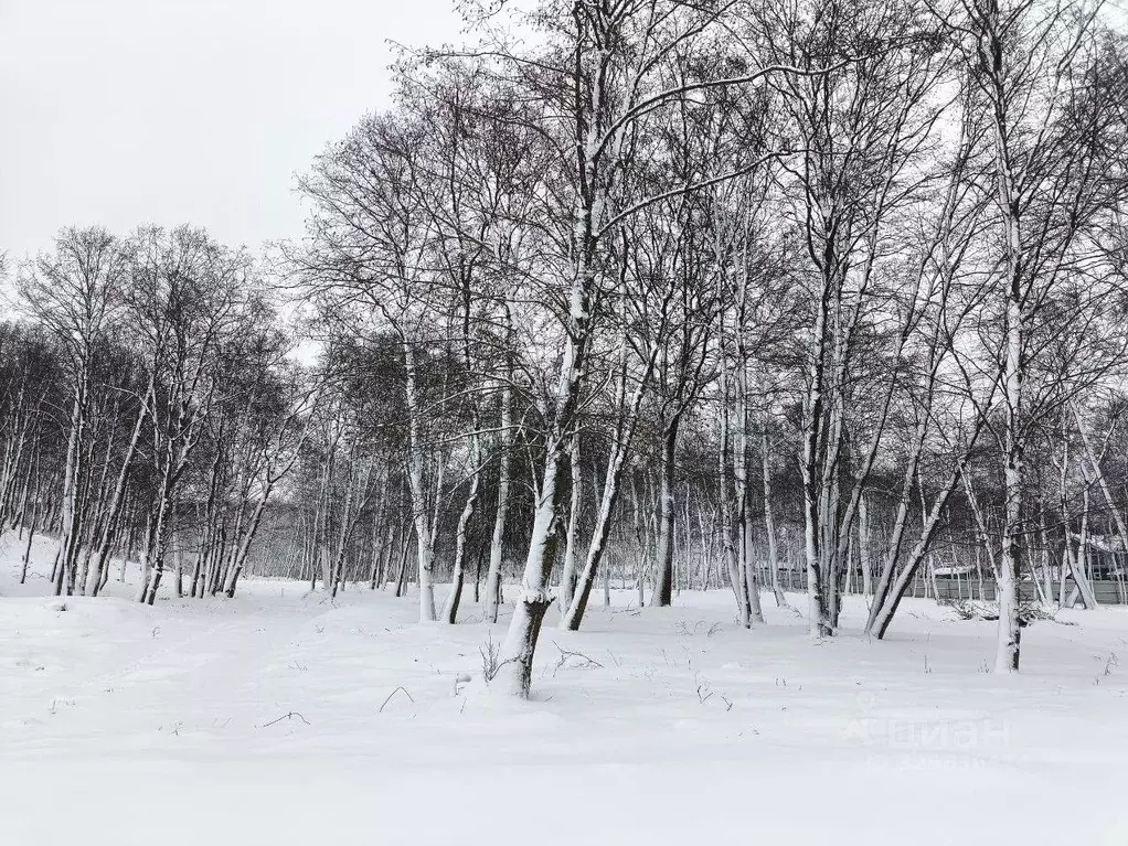 Участок в Московская область, Дмитровский муниципальный округ, д. ... - Фото 1