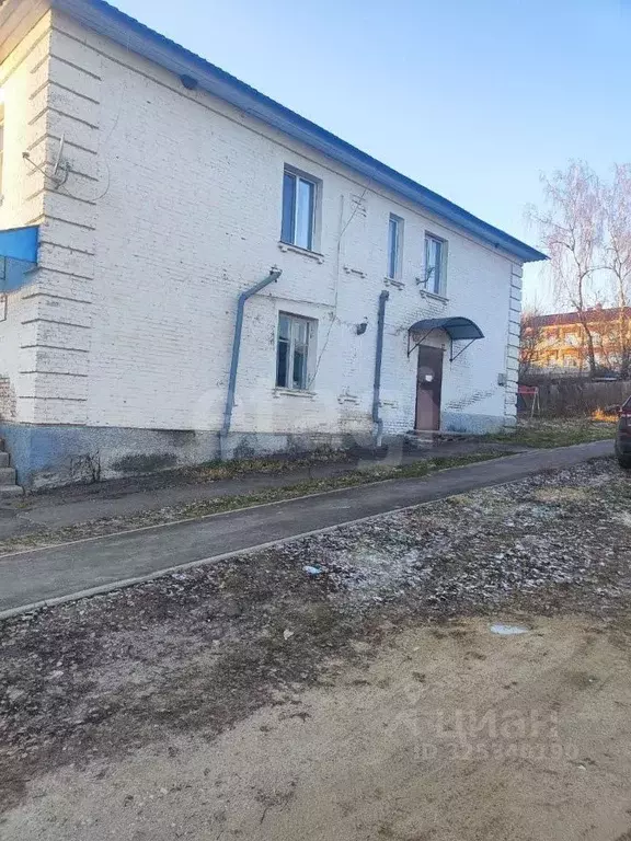 Торговая площадь в Брянская область, Рогнедино рп ул. Горького, 15 (49 ... - Фото 1