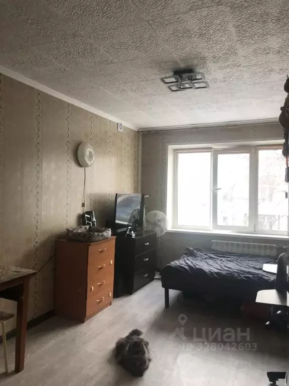 Студия Омская область, Омск ул. Попова, 3к1 (23.0 м) - Фото 2