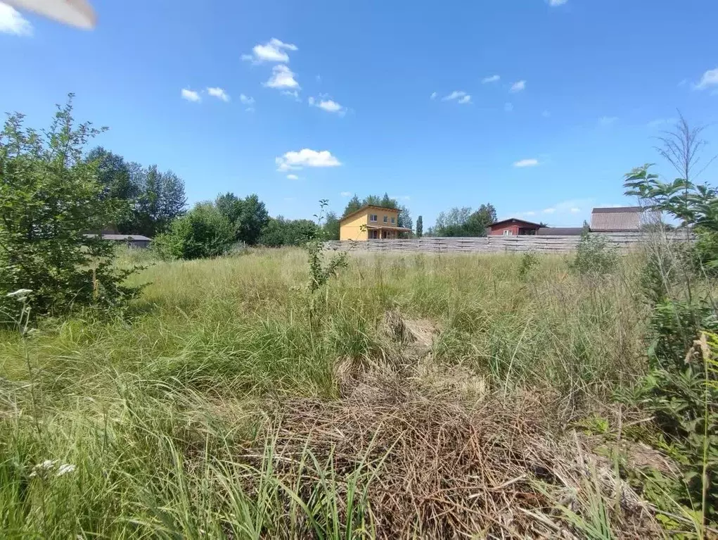 Участок в Воронежская область, Рамонский район, Новоживотинновское ... - Фото 2