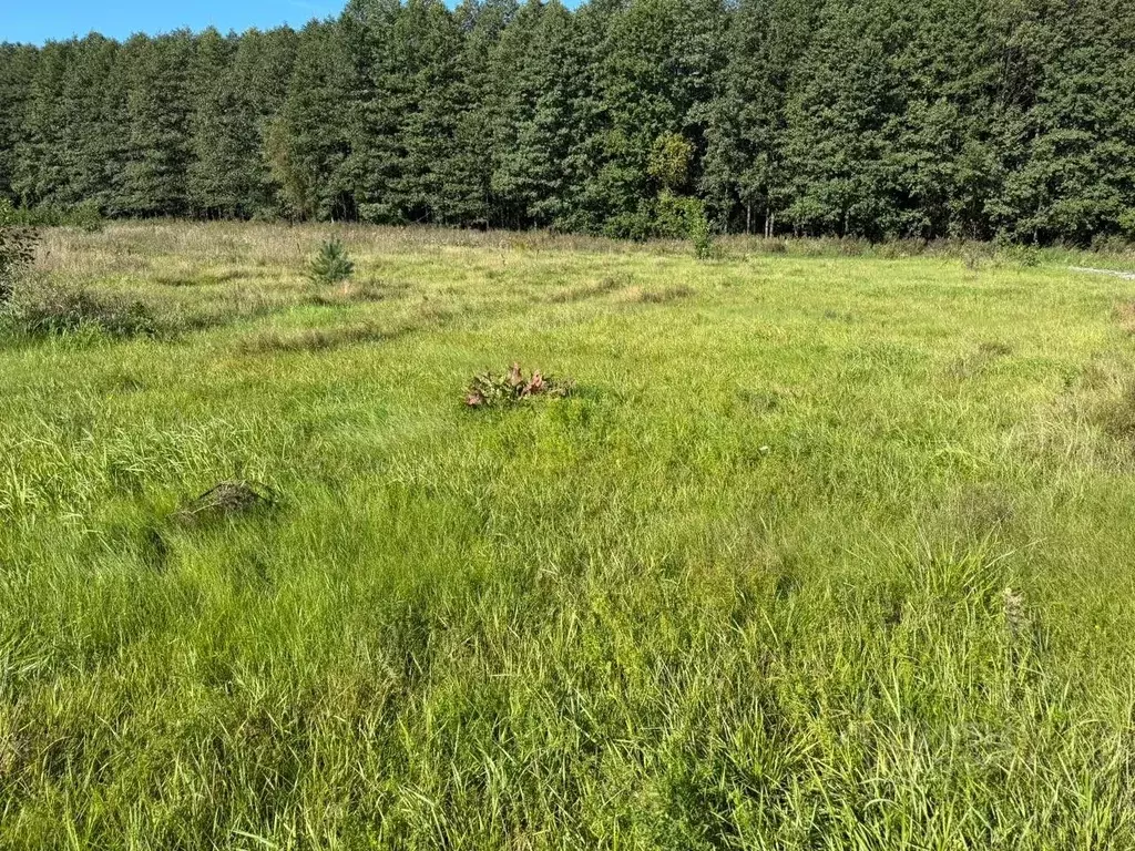 Участок в Московская область, Богородский городской округ, д. Исаково  ... - Фото 1