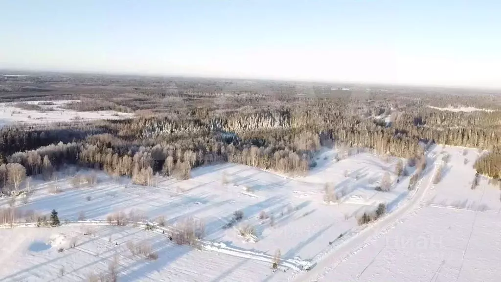 Участок в Карелия, Лахденпохский муниципальный округ, пос. Куликово  ... - Фото 2