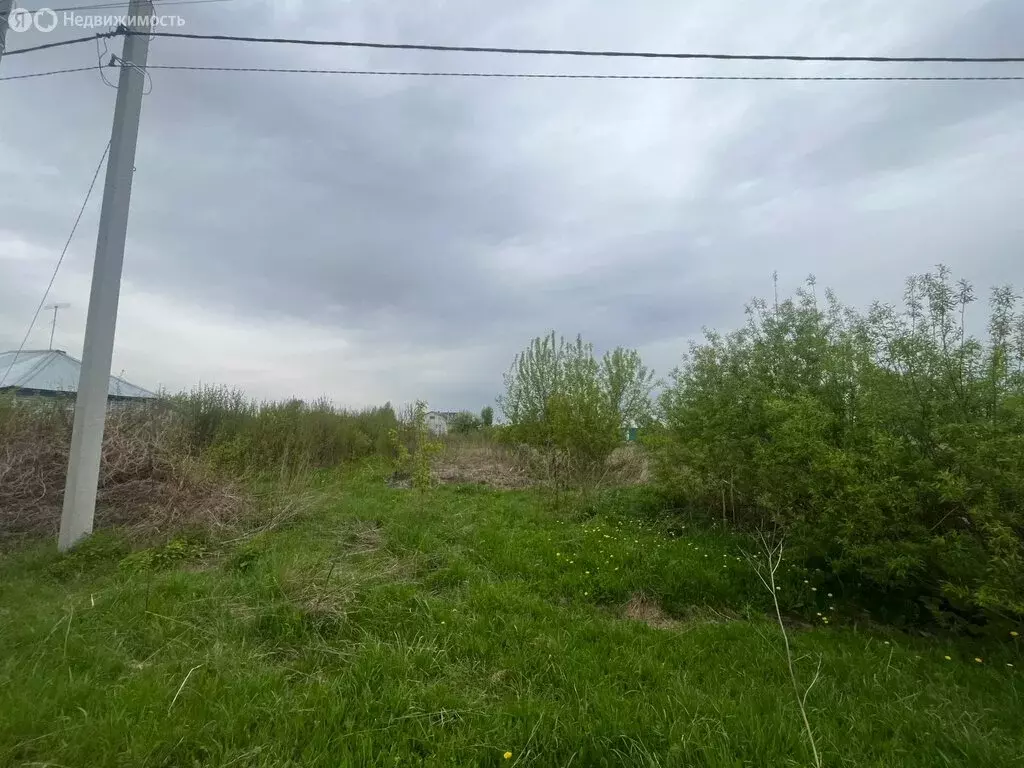 Участок в Топки, улица 40 лет Октября (12 м) - Фото 1