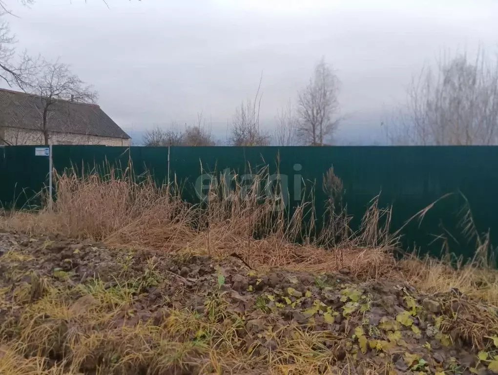 Участок в Владимирская область, Петушки Владимирская ул. (12.0 сот.) - Фото 2