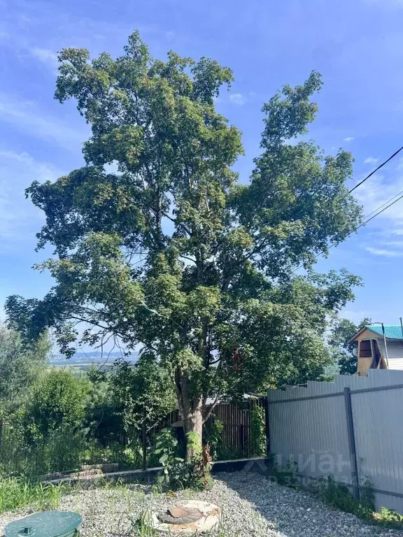 Дом в Приморский край, Надеждинский район, Кварц СТ ул. Хрустальная ... - Фото 2