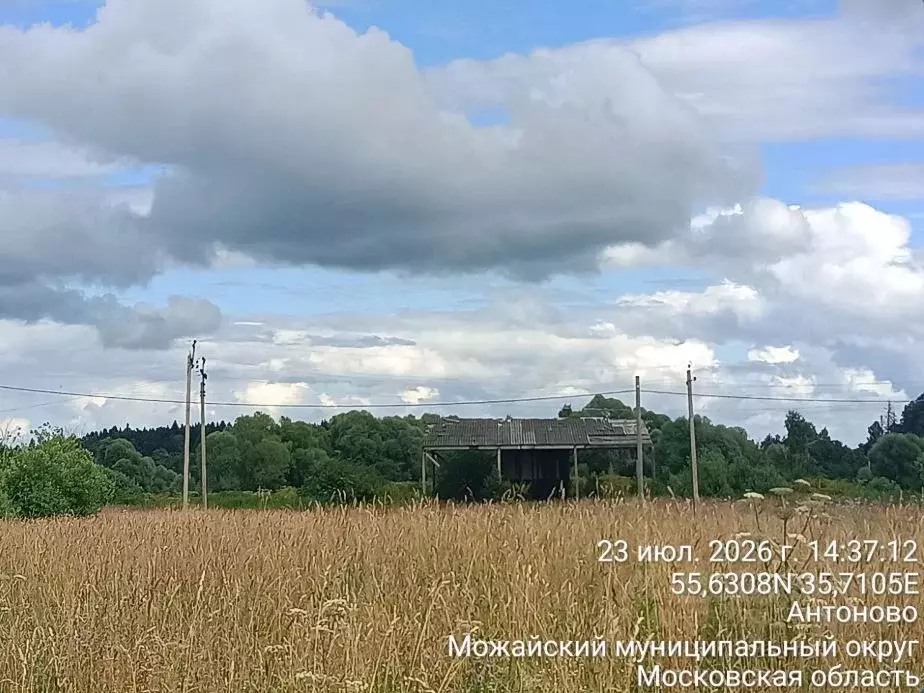 Участок в Московская область, Можайский муниципальный округ, д. ... - Фото 2