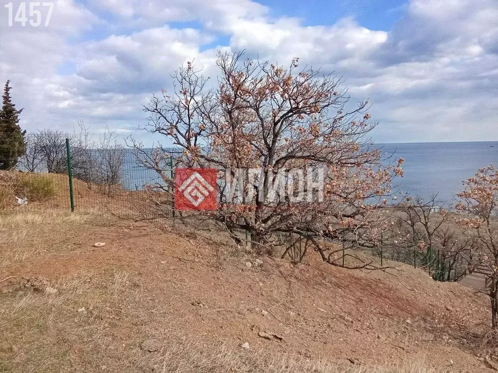 Участок в Крым, Алушта городской округ, с. Приветное ул. Парниковая ... - Фото 1