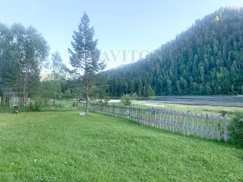 Участок в Алтай, Турочакский район, с. Артыбаш ул. Юртокская (1.07 ... - Фото 2