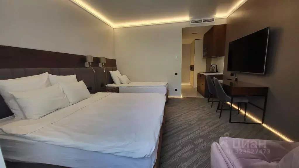 1-к кв. Санкт-Петербург наб. Реки Мойки, 40 (23.0 м) - Фото 2