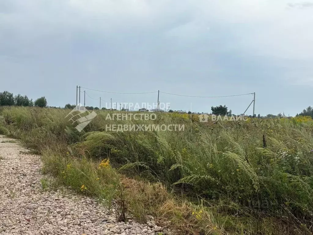 Участок в Рязанская область, Рязанский район, Вышгородское с/пос, с. ... - Фото 2