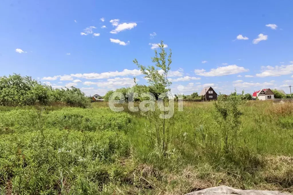 Участок в Тюменская область, Тюмень Рябинка-2 садовое товарищество, ... - Фото 1