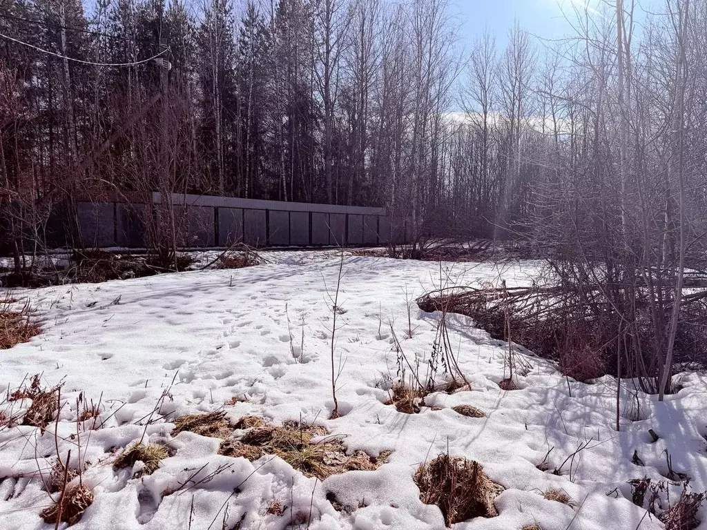 Участок в Санкт-Петербург, Санкт-Петербург, Павловск Уголек СНТ, 2-я ... - Фото 2