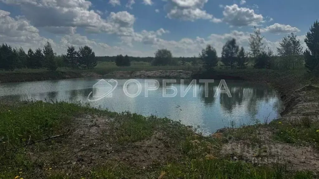 Участок в Тюменская область, Тюменский район, Онегин кп ул. Миллионная ... - Фото 1