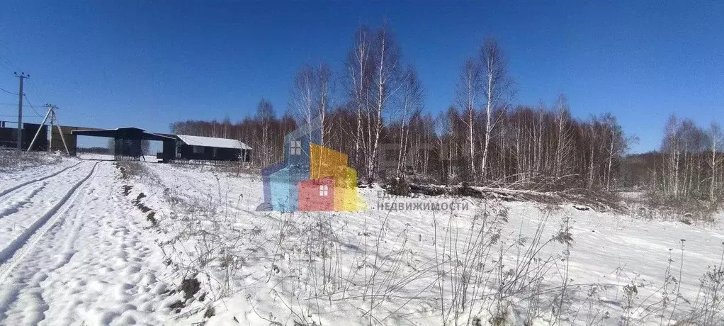 Участок в Тульская область, Тула городской округ, пос. Георгиево, ... - Фото 2