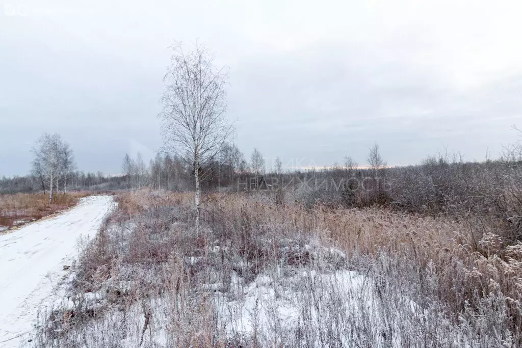 Участок в Тюмень, садовое товарищество Якорь, Светлая улица (6.11 м) - Фото 2