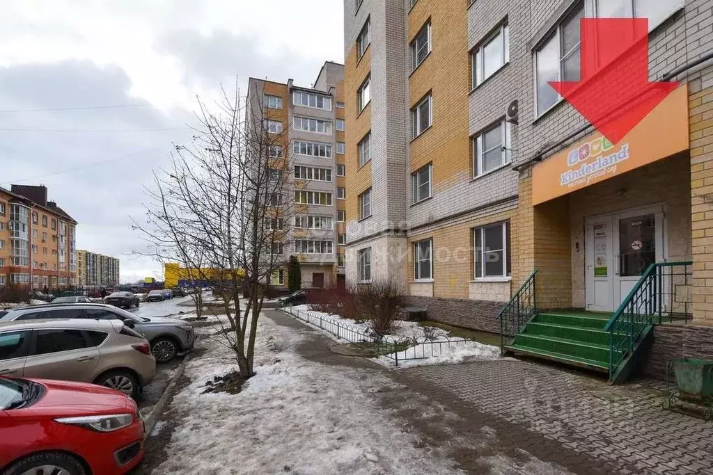 Помещение свободного назначения в Новгородская область, Великий ... - Фото 2