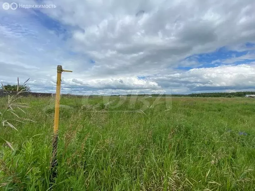 Участок в Ялуторовский район, село Киева (18 м) - Фото 1