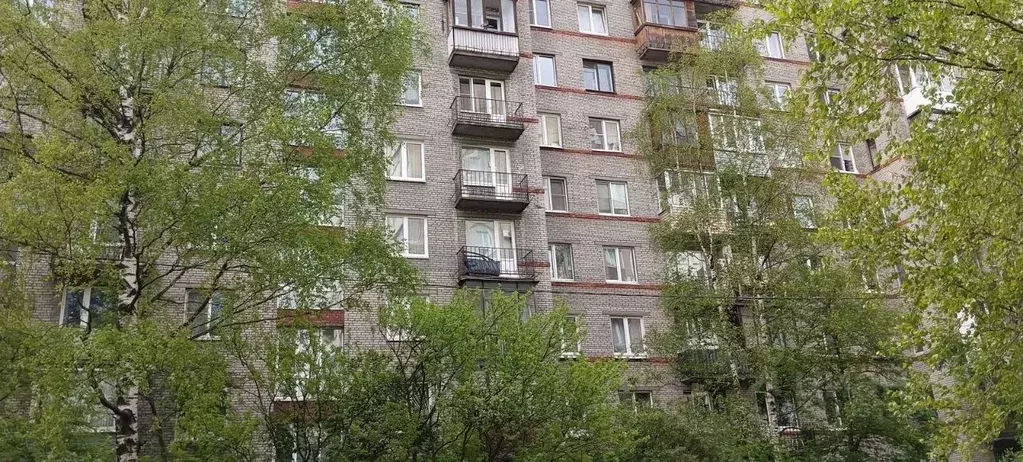 Комната Санкт-Петербург Будапештская ул., 17К2 (20.7 м) - Фото 0