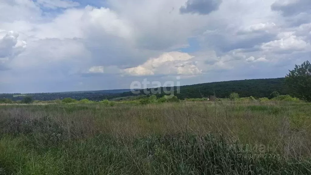 Участок в Белгородская область, Белгородский район, Беломестненское ... - Фото 1