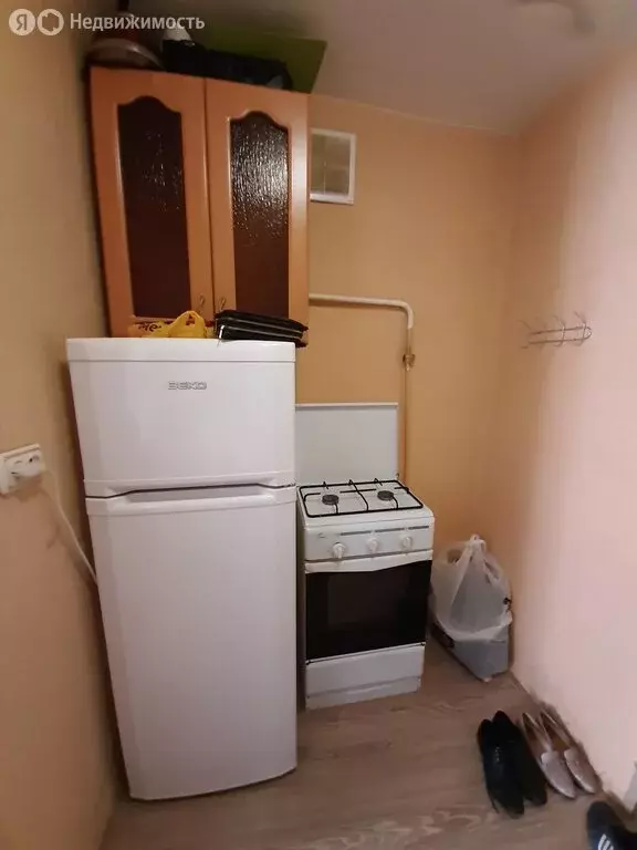 Квартира-студия: Нижний Новгород, улица Бориса Панина, 19 (18.5 м) - Фото 0