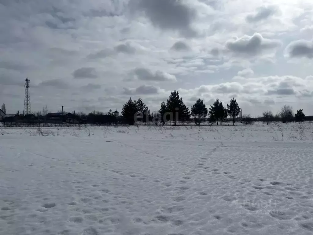 Участок в Воронежская область, Борисоглебский городской округ, с. ... - Фото 1