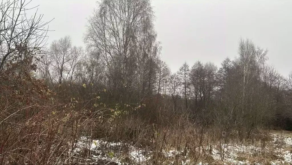 Участок в Московская область, Ступино городской округ, д. Дворяниново ... - Фото 0