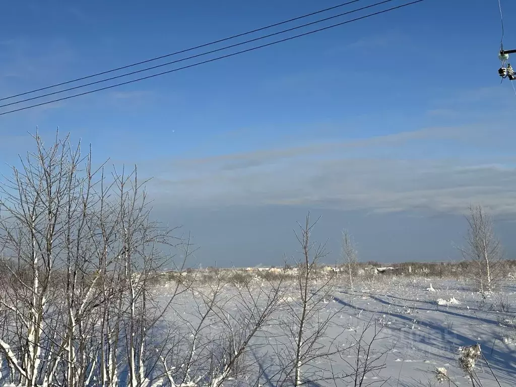 Участок в Нижегородская область, Богородский муниципальный округ, д. ... - Фото 1
