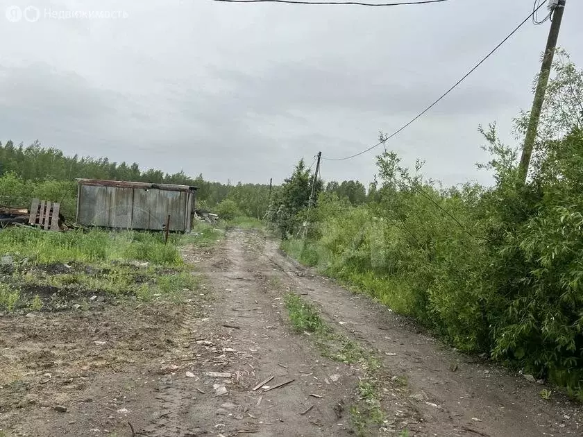Участок в Тюменская область, Нижнетавдинский муниципальный округ, село ... - Фото 2
