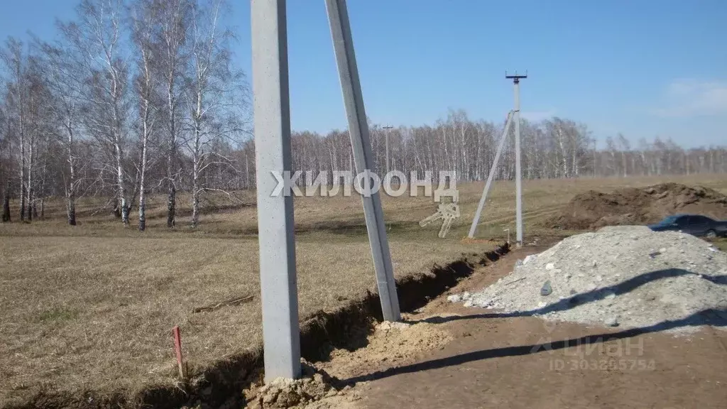 Участок в Новосибирская область, Новосибирский район, Верх-Тулинский ... - Фото 1