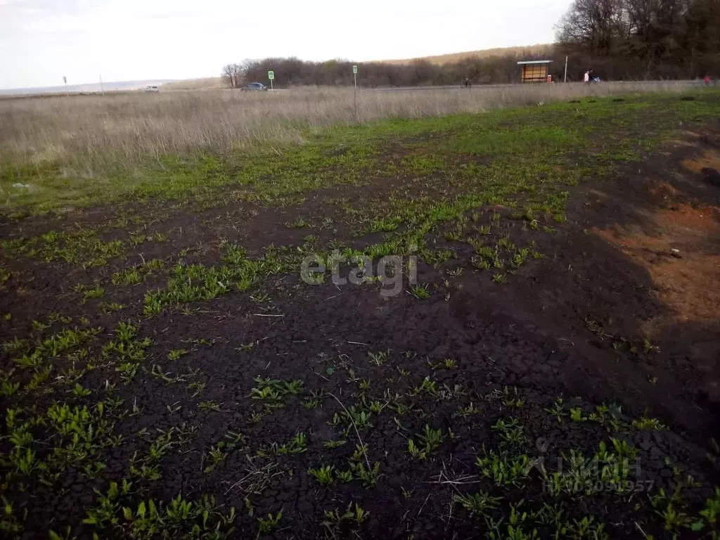 Участок в Белгородская область, Белгородский район, с. Стрелецкое ул. ... - Фото 0