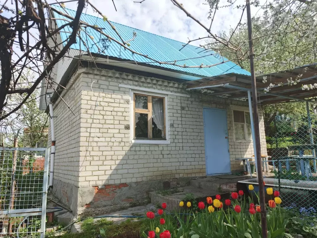 Дом в Саратовская область, с. Александровка  (32 м) - Фото 1