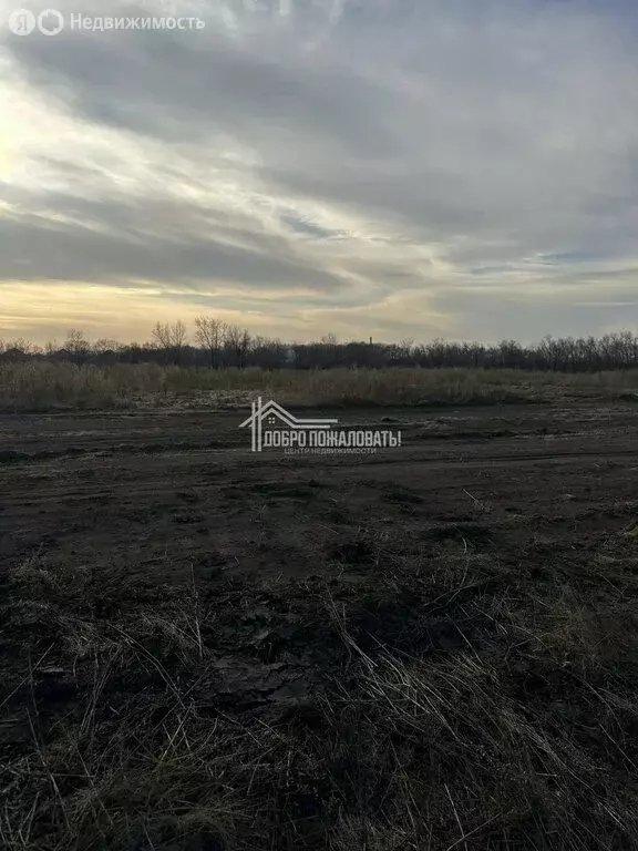 Участок в Усть-Абаканский район, посёлок Расцвет (934 м) - Фото 2