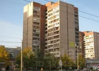 Комната Санкт-Петербург просп. Просвещения, 27 (12.4 м) - Фото 1