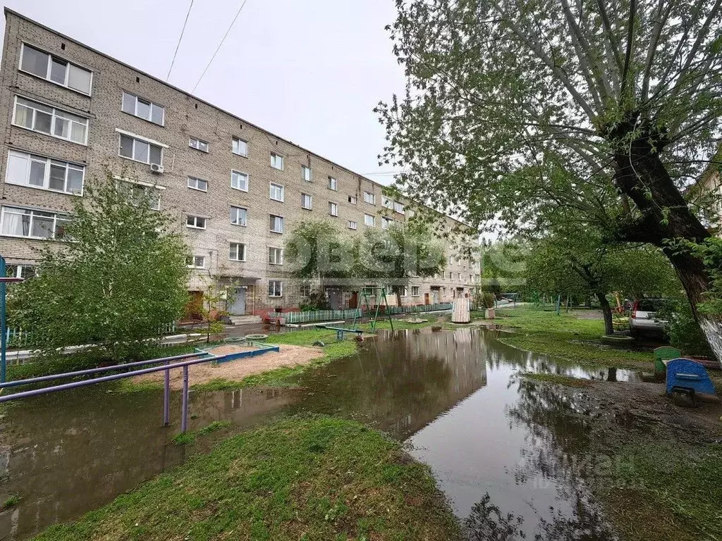 1-к кв. Омская область, Омск Московка мкр, ул. Молодогвардейская, 19 ... - Фото 0