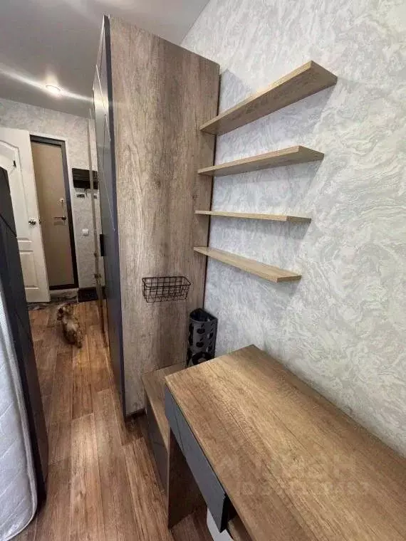 Студия Татарстан, Зеленодольск ул. Ивана Заикина, 14/2 (13.0 м) - Фото 2