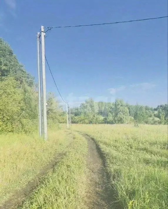Участок в Мордовия, Лямбирский район, Берсеневское с/пос, с. Татарская ... - Фото 1