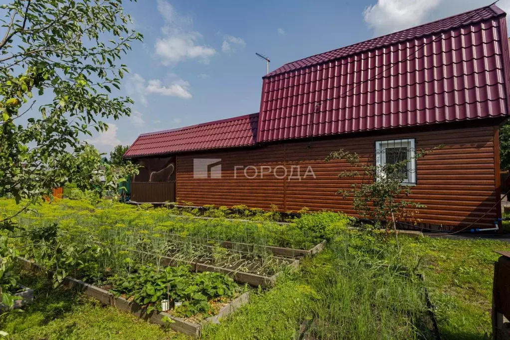 Дом в Кемеровская область, Калтан Прикондомское СНТ, ул. Лунная (45 м) - Фото 1