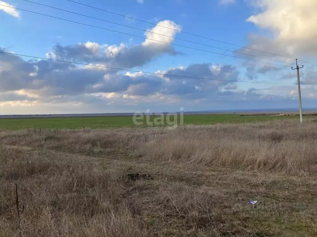 Участок в Крым, Черноморский район, с. Межводное ул. Ленина (200.0 ... - Фото 1