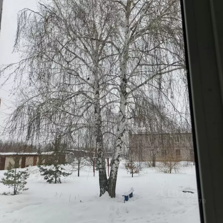 2-к кв. Самарская область, Волжский район, Лопатино с/пос, пос. ... - Фото 2