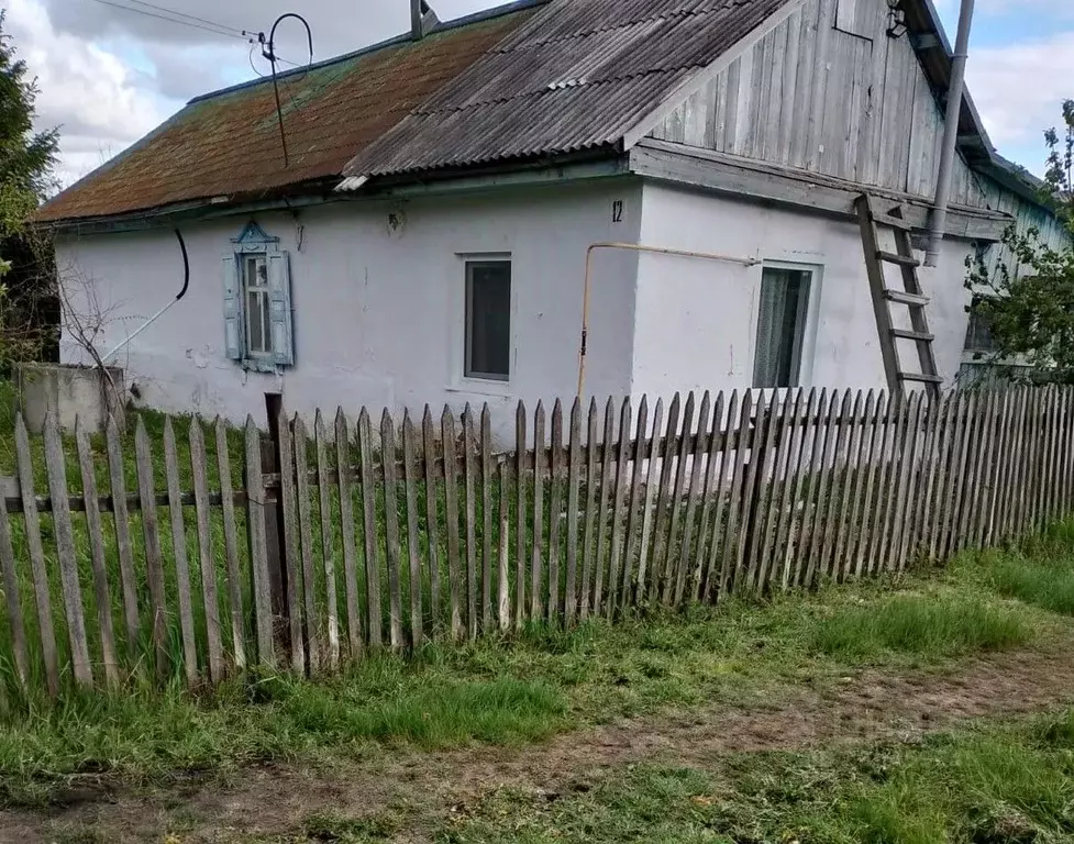 Дом в Омская область, Калачинский район, с. Осокино Школьная ул., 12 ... - Фото 2