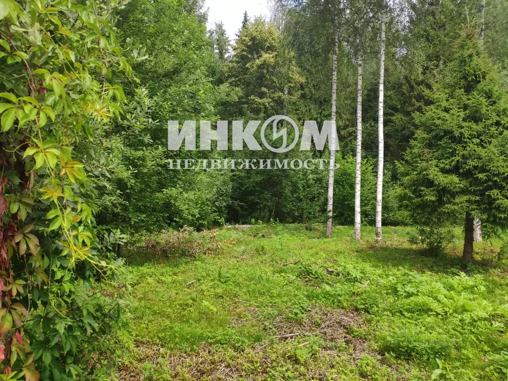 Участок в Московская область, Пушкинский городской округ, Аянка СНТ 54 ... - Фото 0