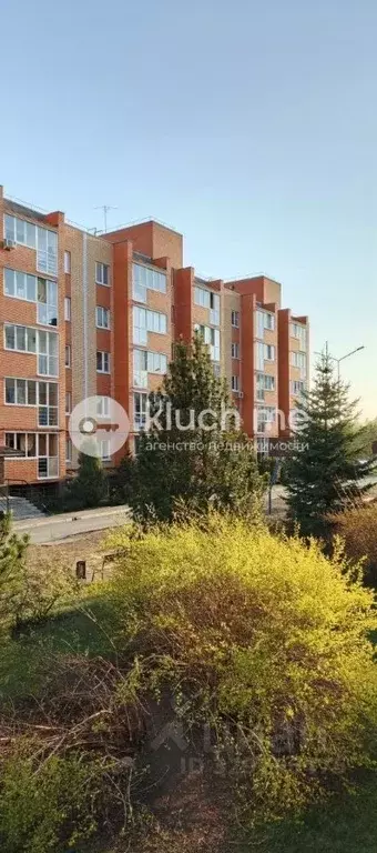 1-к кв. Татарстан, Лаишевский район, Столбищенское с/пос, с. Усады ... - Фото 2