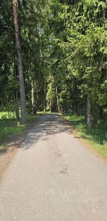 Участок в Московская область, Щелково городской округ, д. Орлово ул. ... - Фото 2