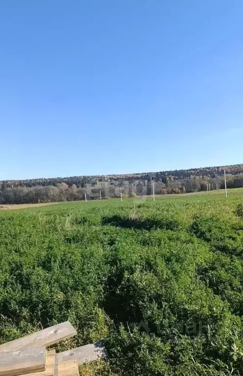 Участок в Пермский край, Пермский муниципальный округ, Полюдовский ... - Фото 1