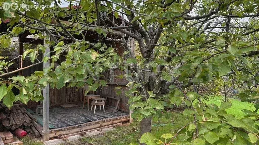 Дом в Севастополь, СНТ Ливада, 78 (55 м) - Фото 2